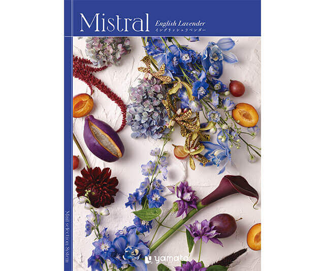 【Mistral】選べるギフト Mistral(ミストラル) ＜English Lavender(ｲﾝｸﾞﾘｯｼｭﾗﾍﾞﾝﾀﾞｰ)＞