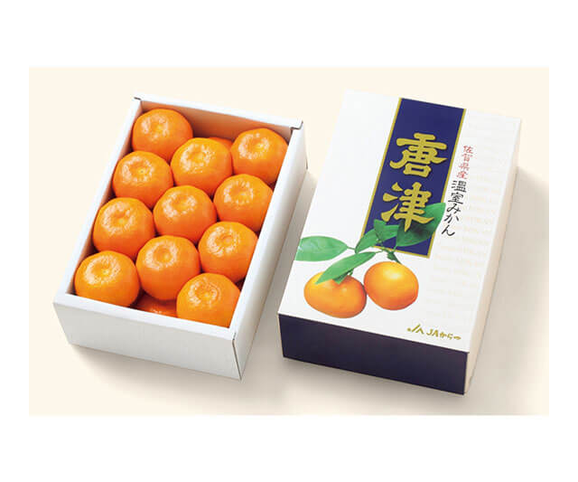 【お中元】佐賀唐津 ハウスみかん【６月２０日頃より７月３１日頃までにお届け】 