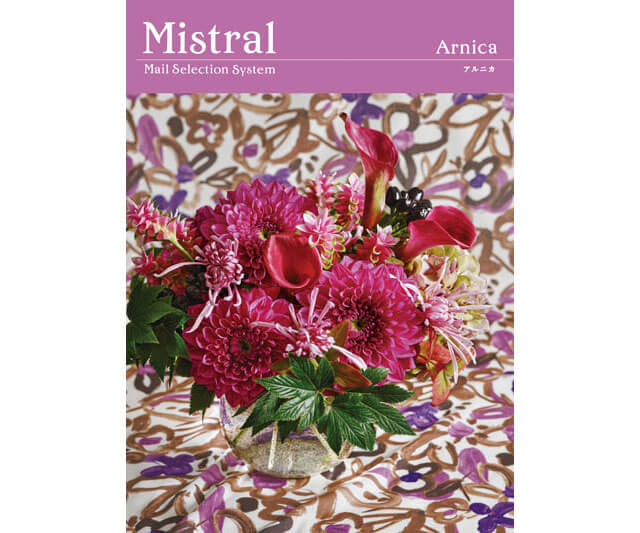 【Mistral】選べるギフト Mistral(ミストラル) ＜Arnica(ｱﾙﾆｶ)＞